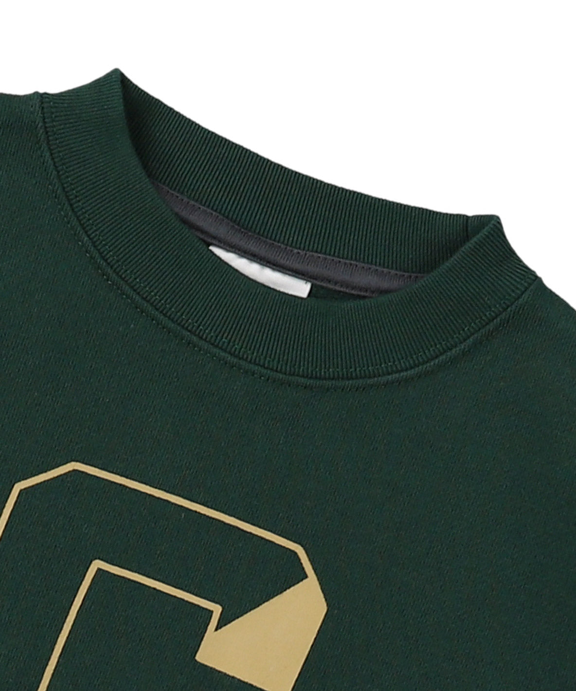 Brushed Fleece G Sweatshirt
