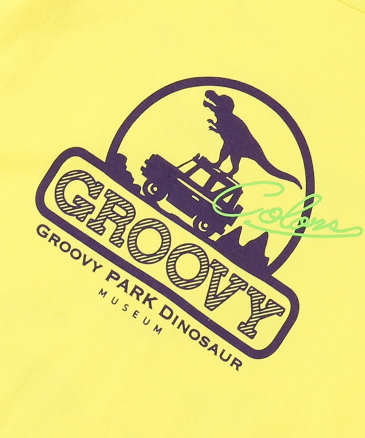 Cotton Jersey DINOSAUR TEE