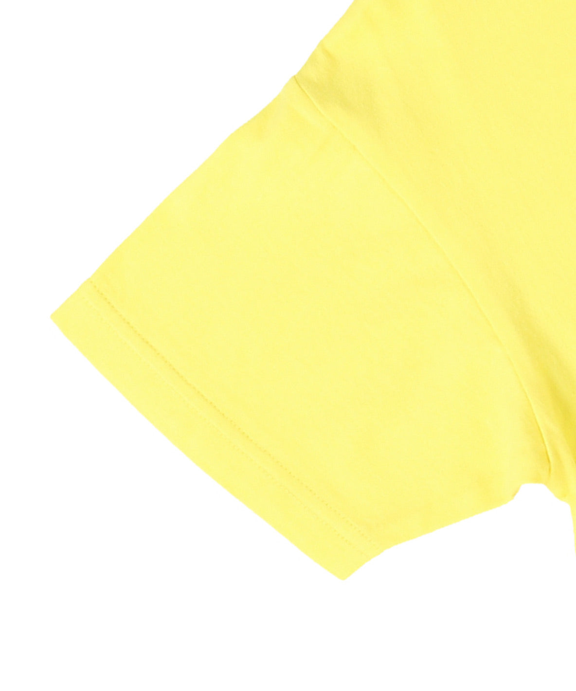 Cotton Jersey DINOSAUR TEE