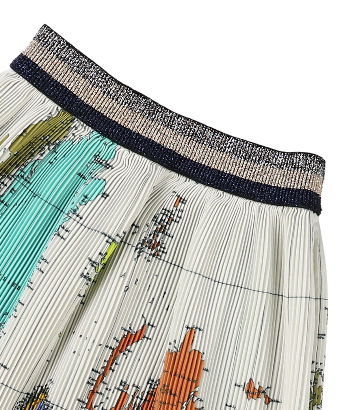 Pleated Skirt