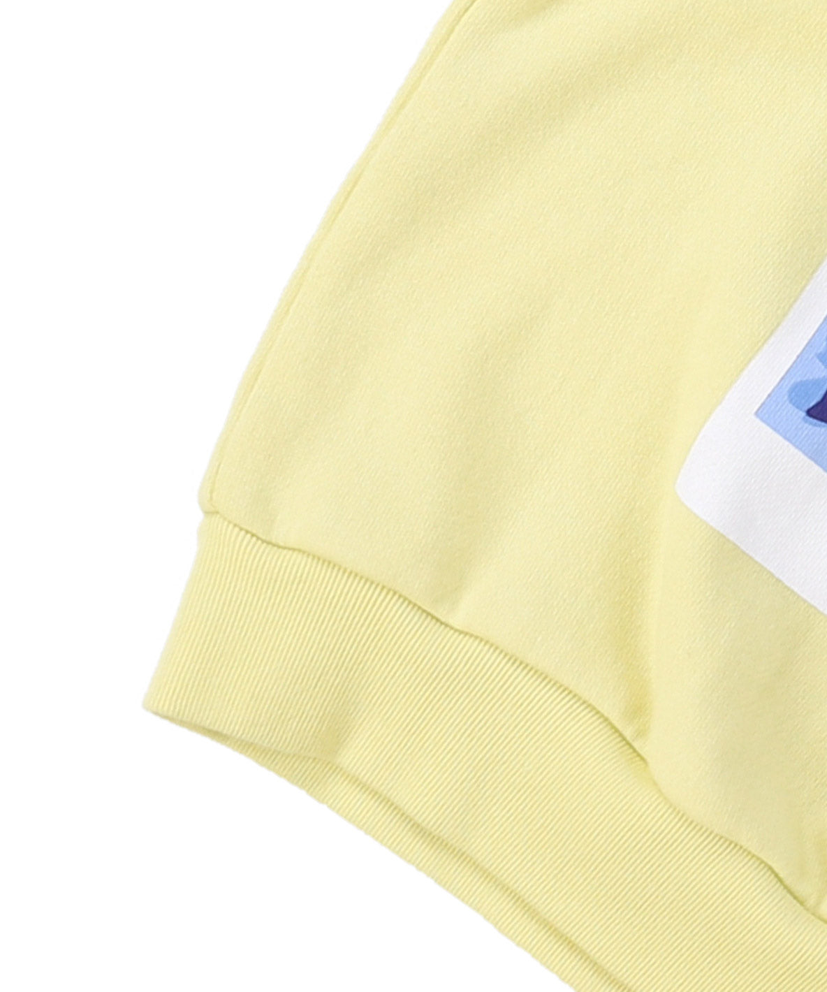Pile SNOWSCAPE Sweatshirt