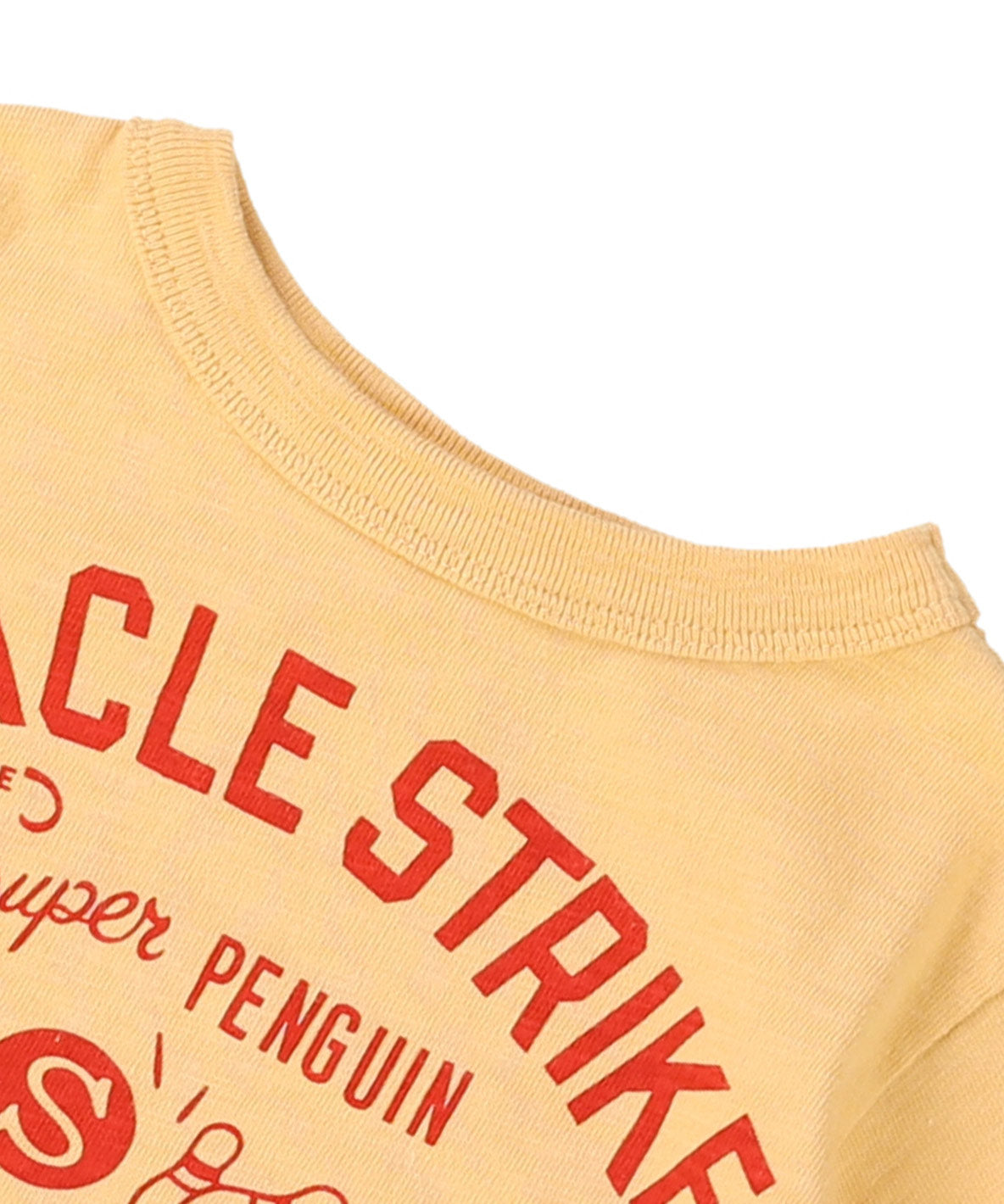 Cotton Jersey MIRACLE T-shirt