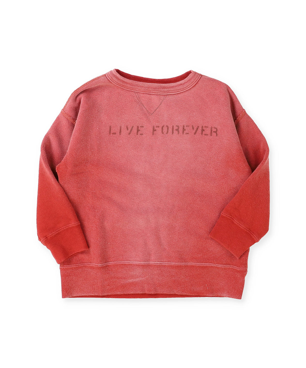 Vintage Fleece DOG Sweatshirt