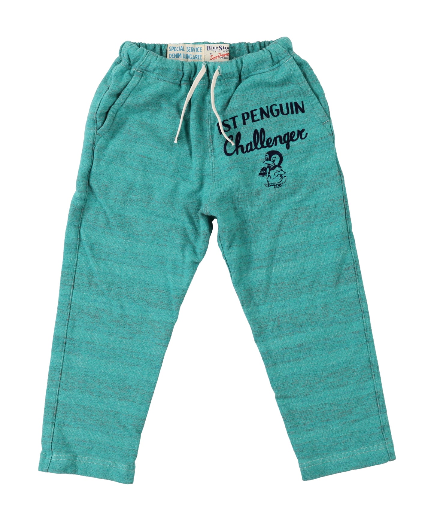 Inlay Striped PENNIE Pants