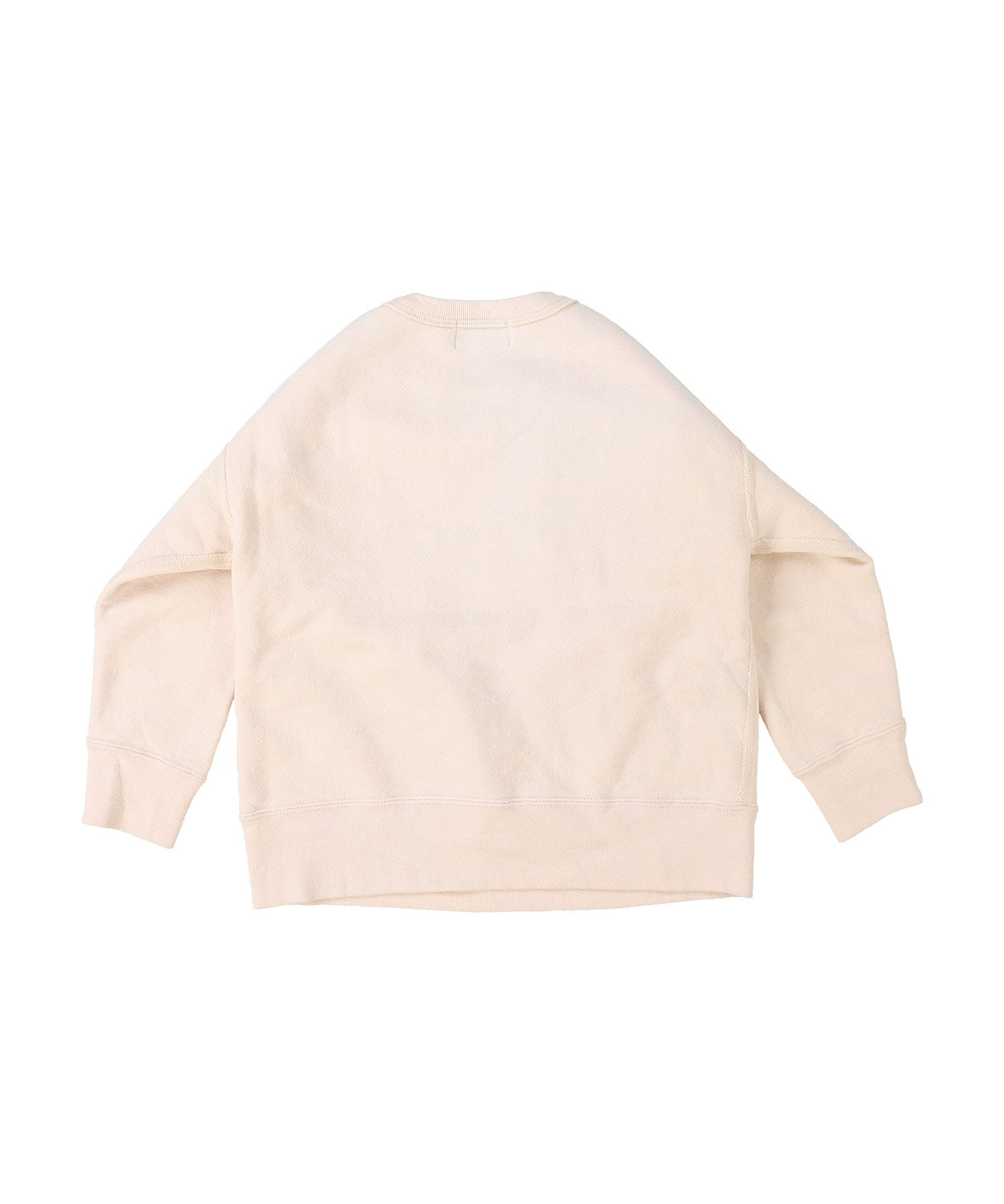 Vintage Loopback JOURNEY Sweatshirt