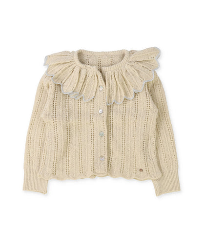 Sparkle Knit Cardigan