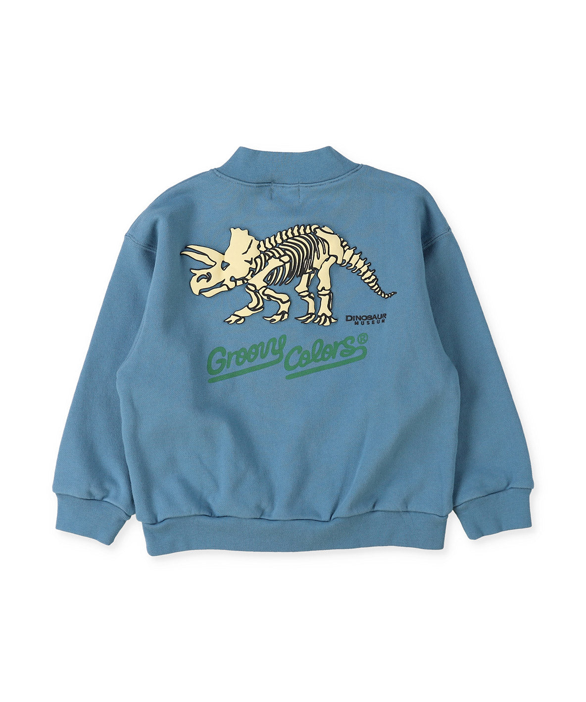 Pile DINOSAUR Pullover Sweatshirt