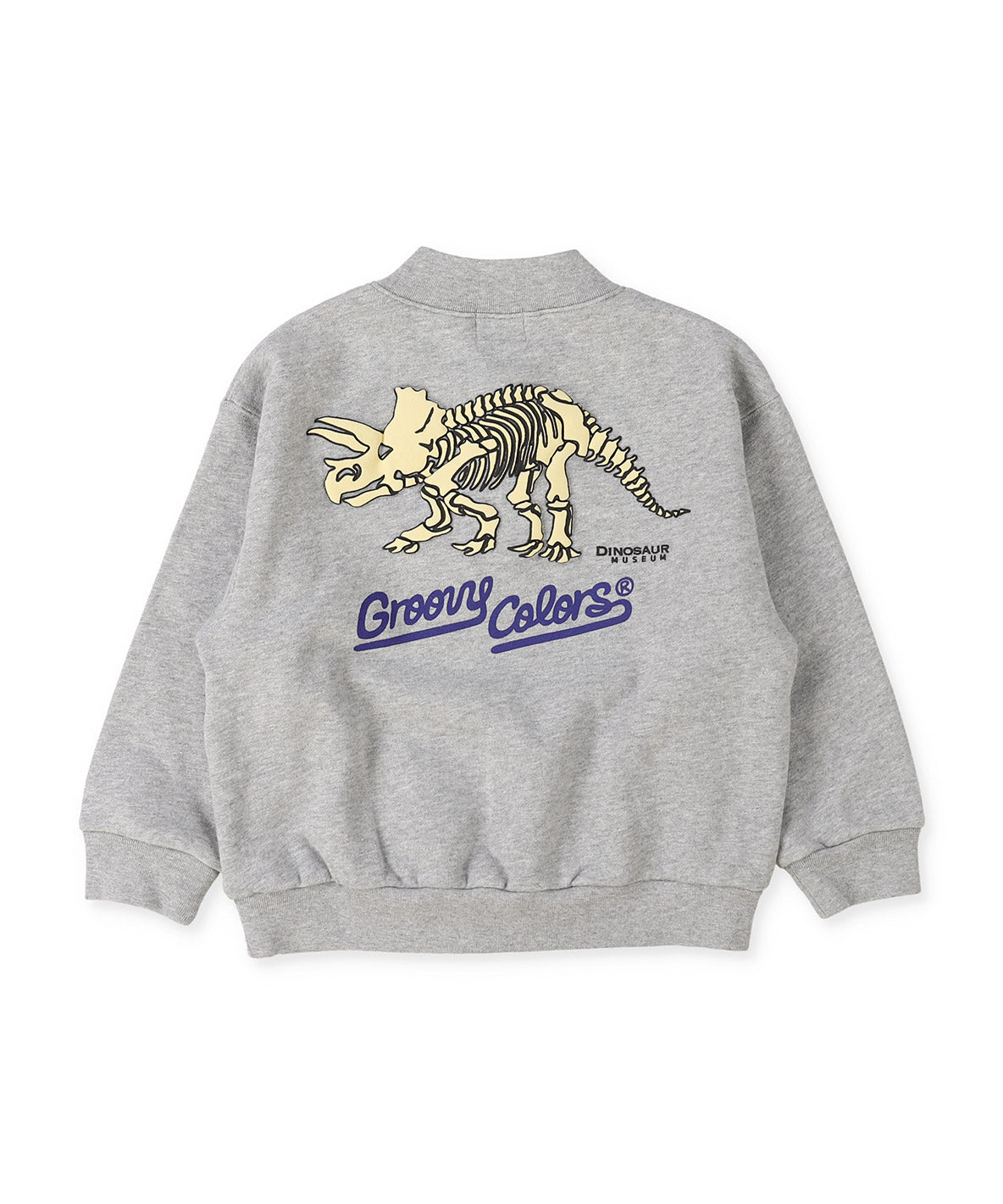 Pile DINOSAUR Pullover Sweatshirt