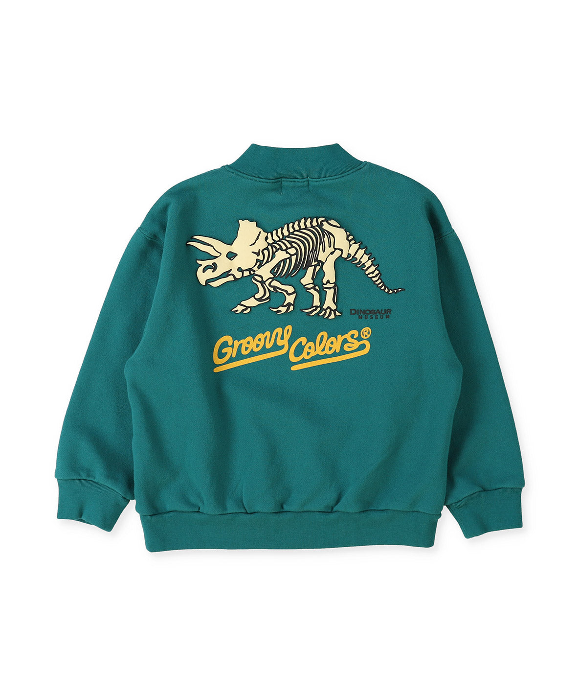 Pile DINOSAUR Pullover Sweatshirt