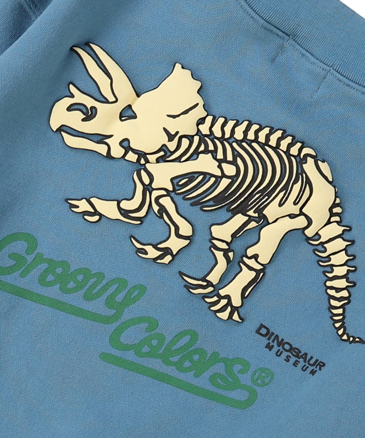 Pile DINOSAUR Pullover Sweatshirt