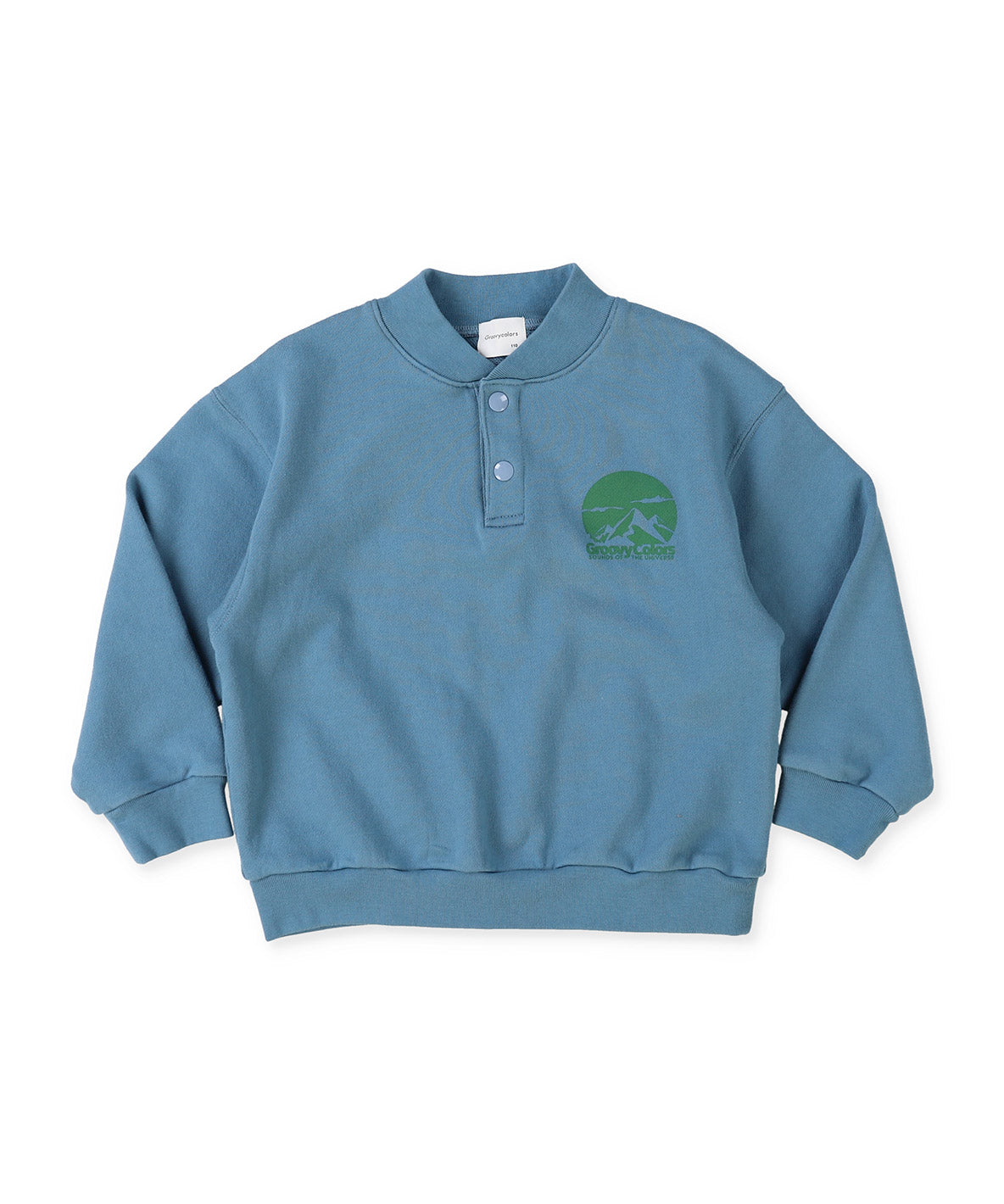 Pile DINOSAUR Pullover Sweatshirt