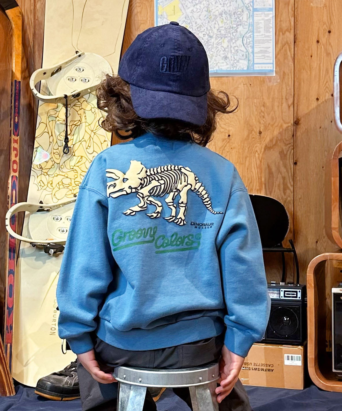 Pile DINOSAUR Pullover Sweatshirt