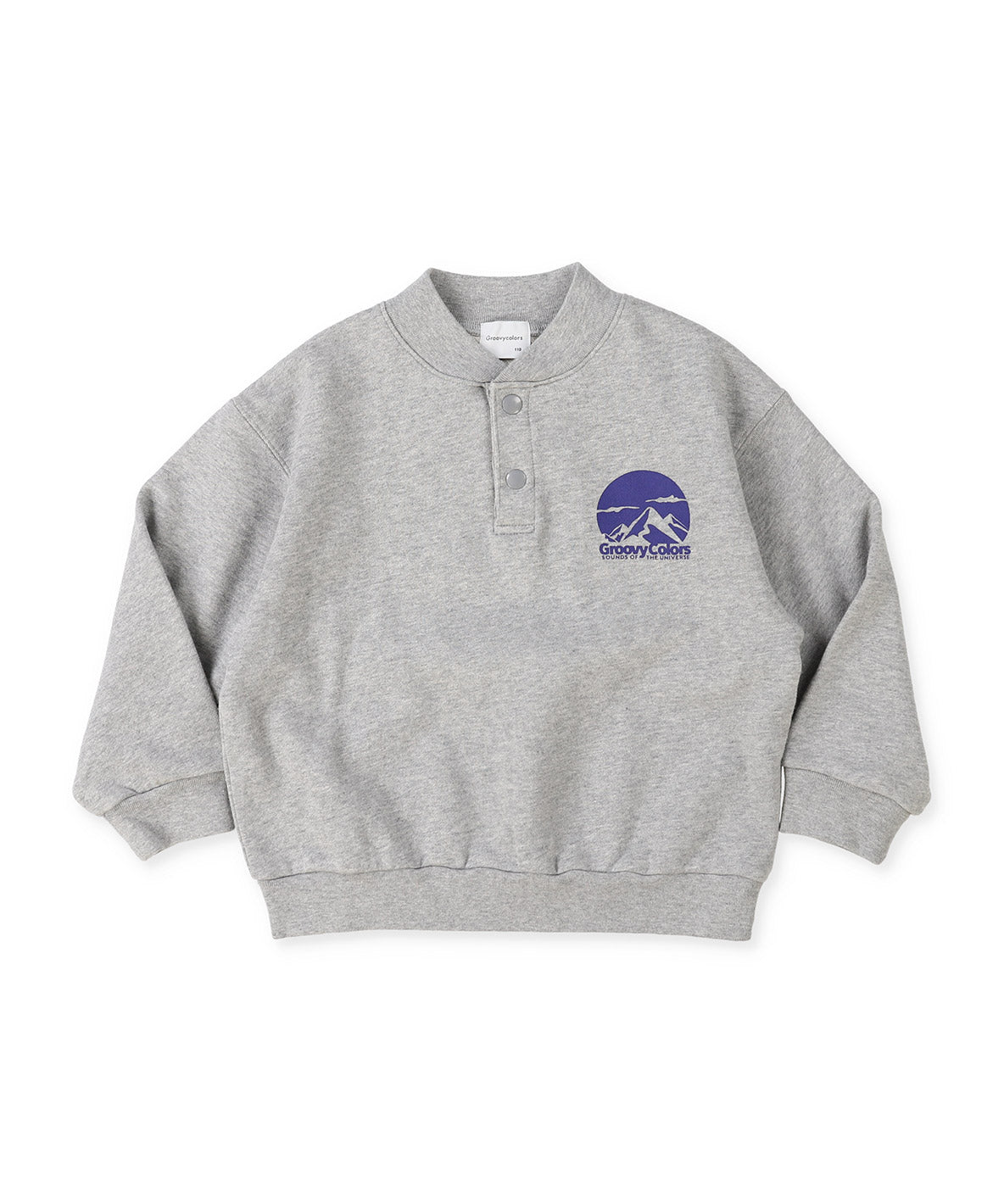 Pile DINOSAUR Pullover Sweatshirt