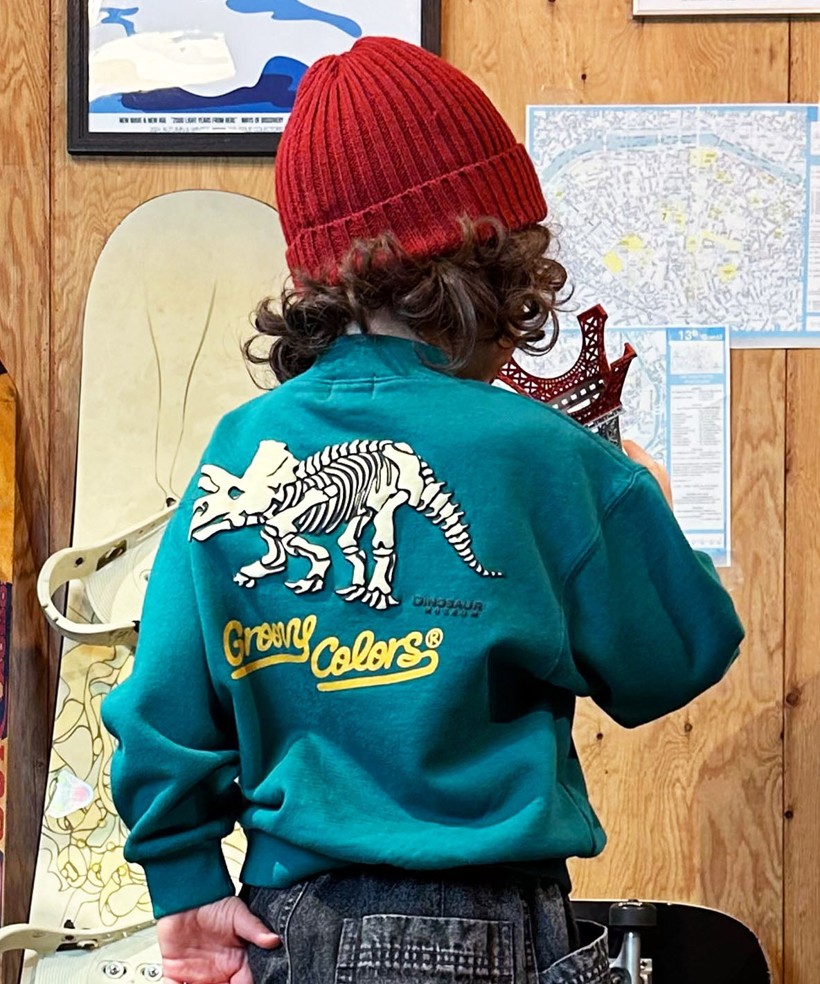 Pile DINOSAUR Pullover Sweatshirt